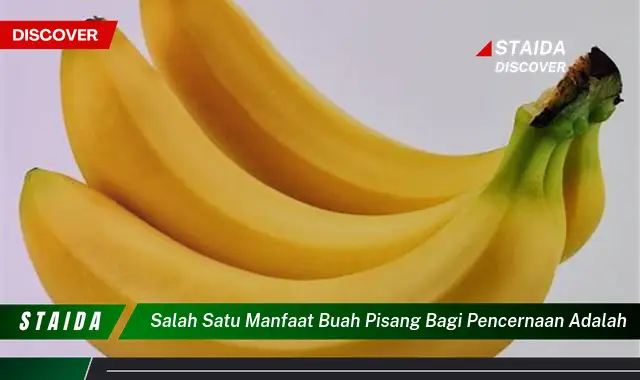 salah satu manfaat buah pisang bagi pencernaan adalah