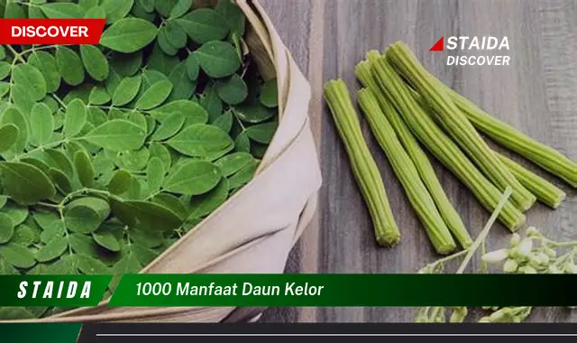 1000 manfaat daun kelor