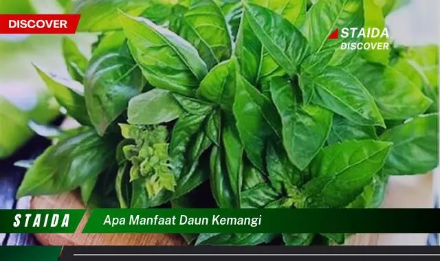 apa manfaat daun kemangi