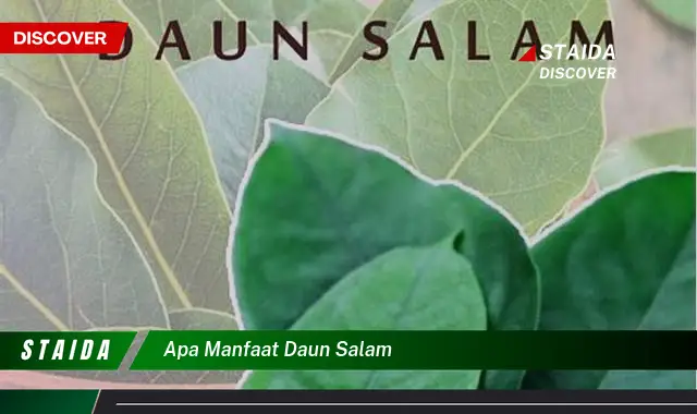 apa manfaat daun salam