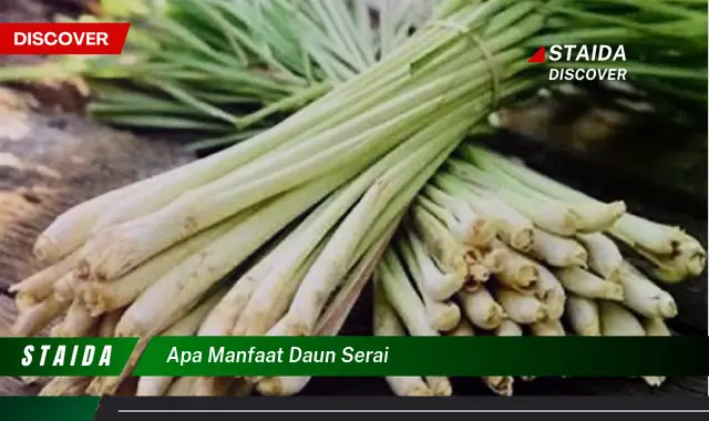 apa manfaat daun serai