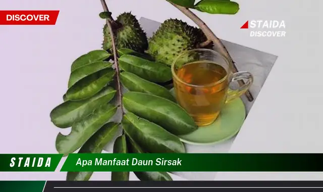 apa manfaat daun sirsak