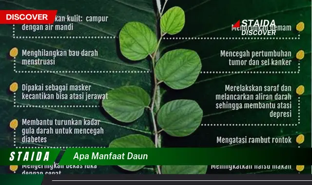 apa manfaat daun