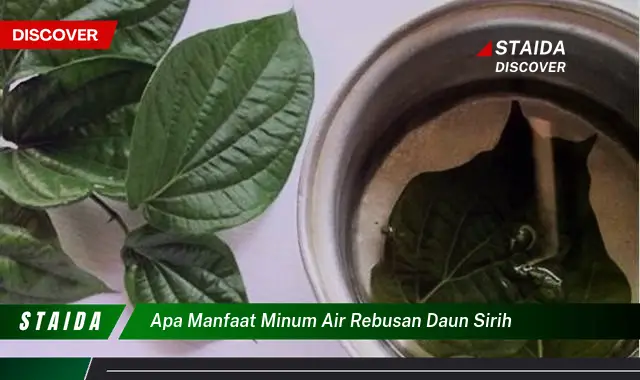 apa manfaat minum air rebusan daun sirih