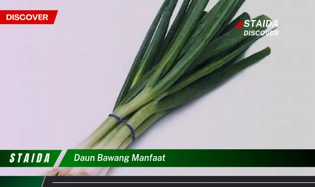 daun bawang manfaat