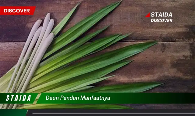 daun pandan manfaatnya