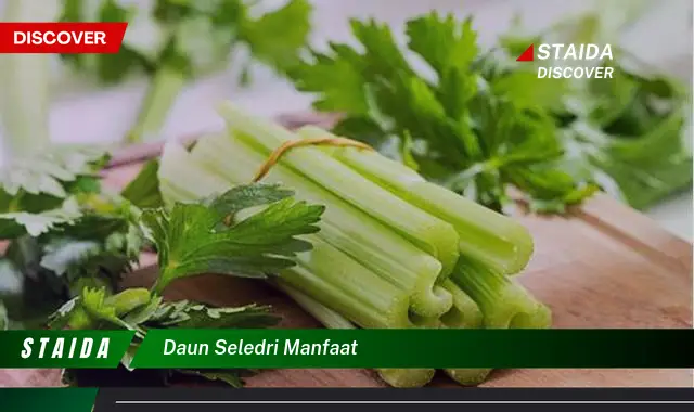 daun seledri manfaat