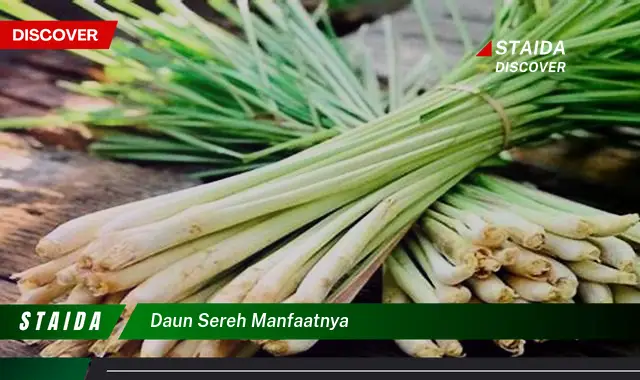 daun sereh manfaatnya