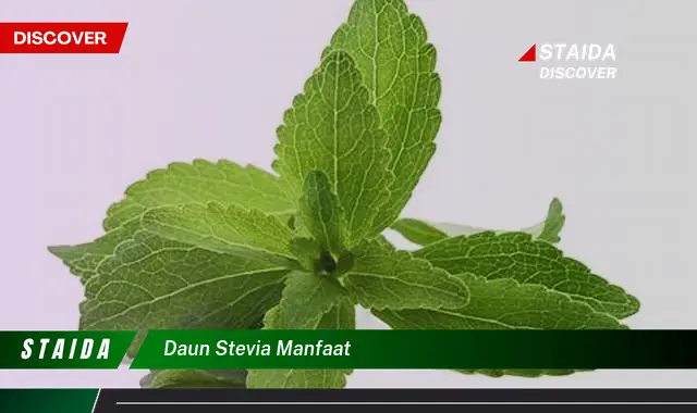 daun stevia manfaat