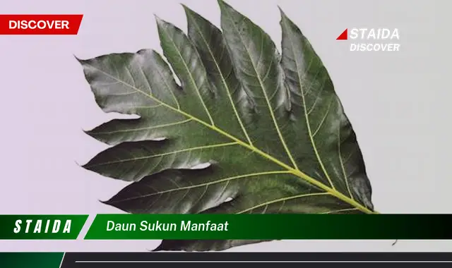 daun sukun manfaat