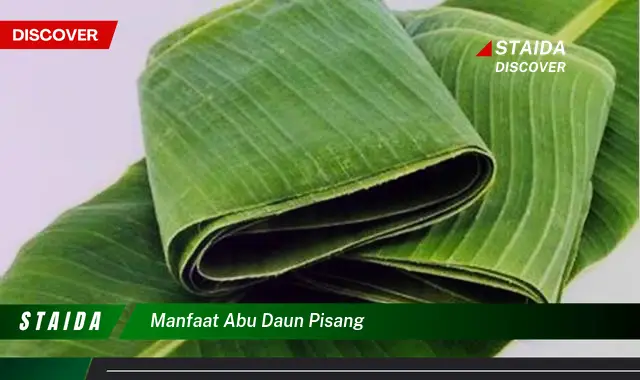 manfaat abu daun pisang