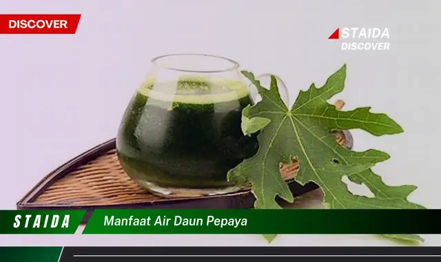 manfaat air daun pepaya