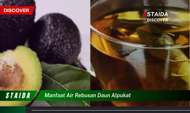 manfaat air rebusan daun alpukat