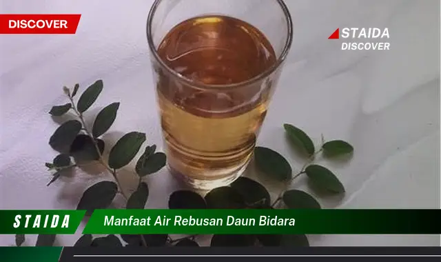 manfaat air rebusan daun bidara