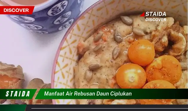 manfaat air rebusan daun ciplukan