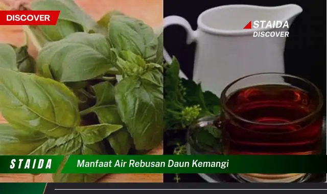 manfaat air rebusan daun kemangi