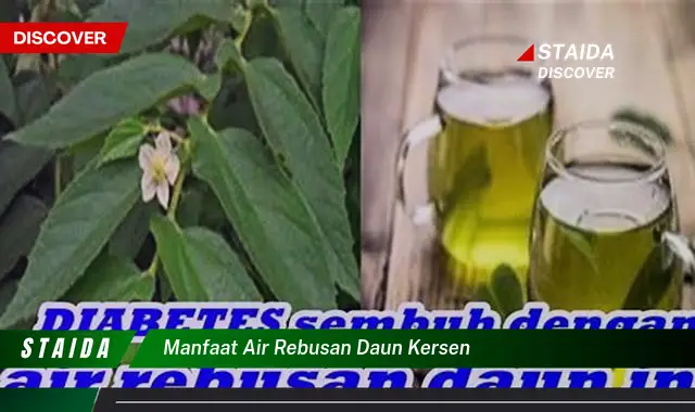 manfaat air rebusan daun kersen