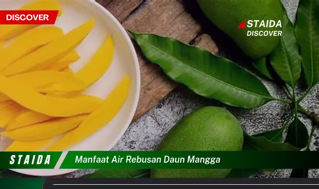 manfaat air rebusan daun mangga