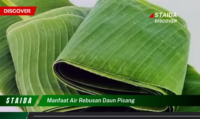 manfaat air rebusan daun pisang