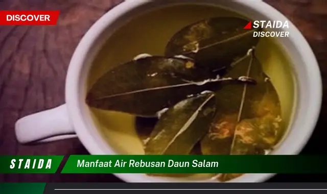 manfaat air rebusan daun salam