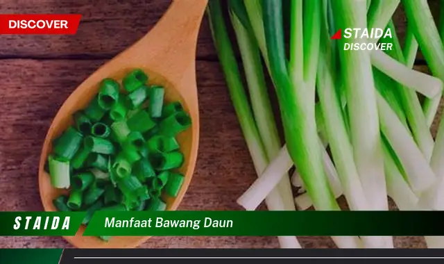 manfaat bawang daun