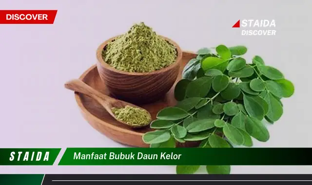 manfaat bubuk daun kelor