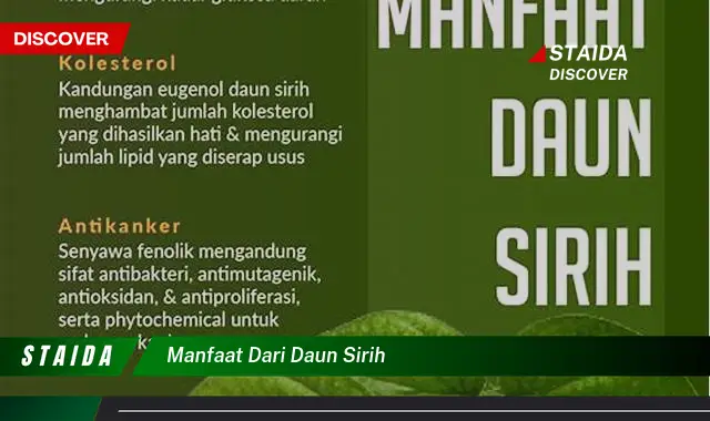 manfaat dari daun sirih