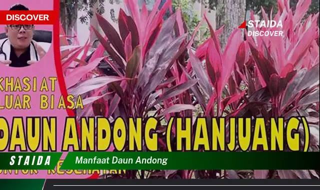 manfaat daun andong