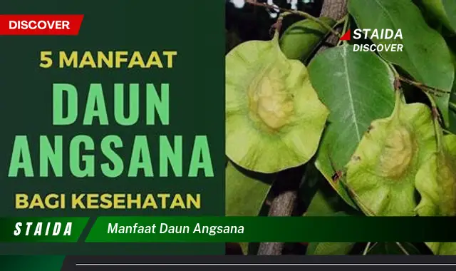 manfaat daun angsana