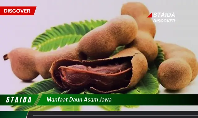 manfaat daun asam jawa