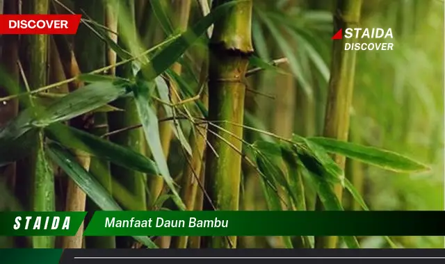 manfaat daun bambu