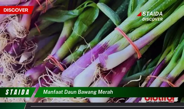 manfaat daun bawang merah