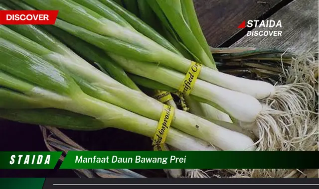 manfaat daun bawang prei