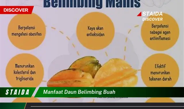 manfaat daun belimbing buah