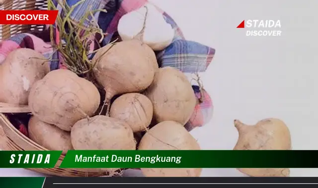 manfaat daun bengkuang