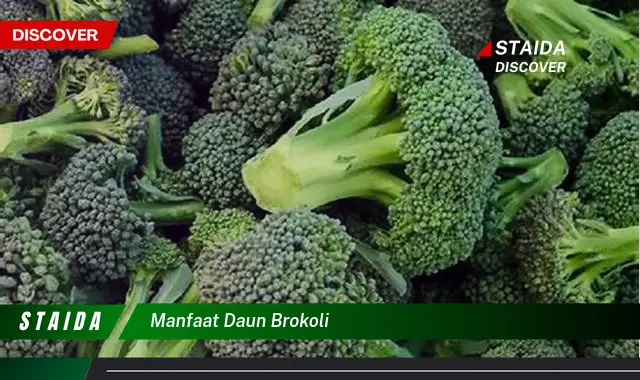 manfaat daun brokoli