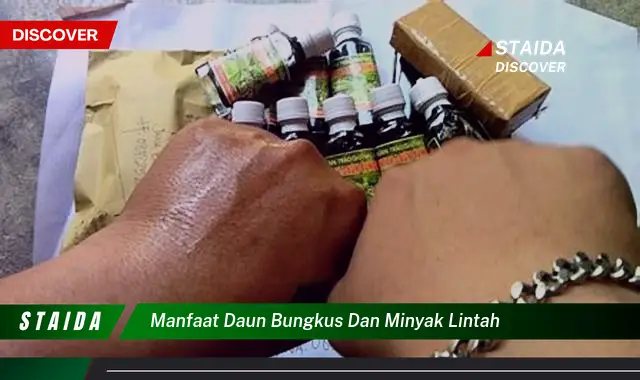 manfaat daun bungkus dan minyak lintah