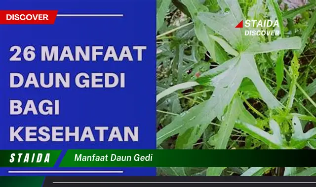 manfaat daun gedi