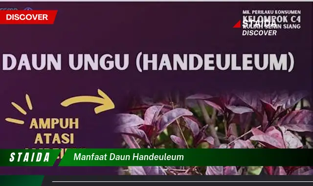 manfaat daun handeuleum