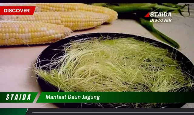 manfaat daun jagung