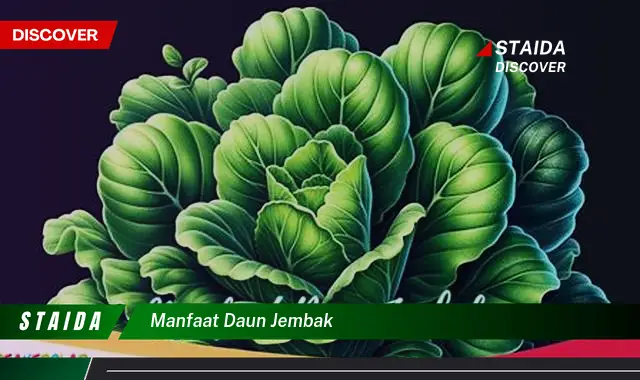 manfaat daun jembak