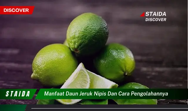 manfaat daun jeruk nipis dan cara pengolahannya