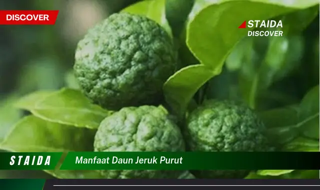 manfaat daun jeruk purut