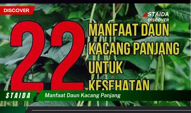 manfaat daun kacang panjang