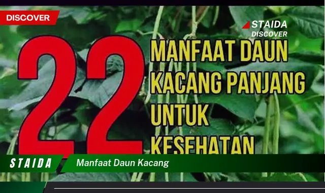 manfaat daun kacang