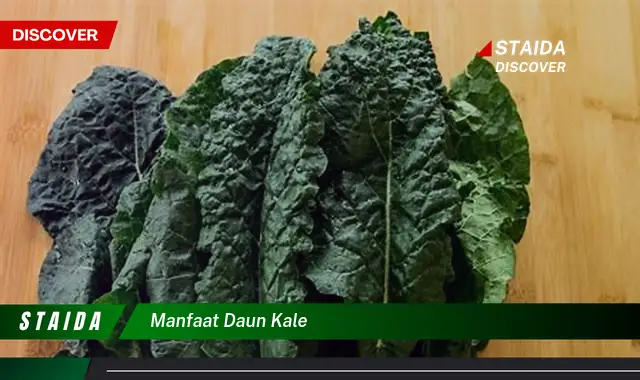 manfaat daun kale