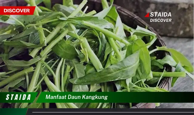 manfaat daun kangkung