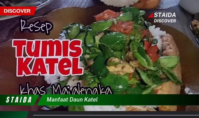 manfaat daun katel