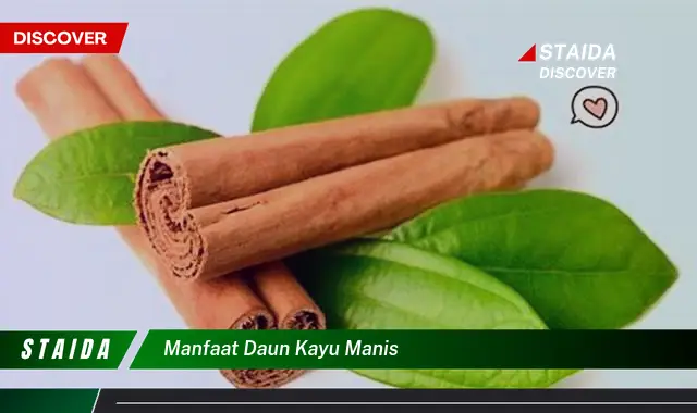 manfaat daun kayu manis