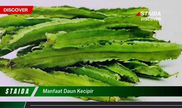 manfaat daun kecipir